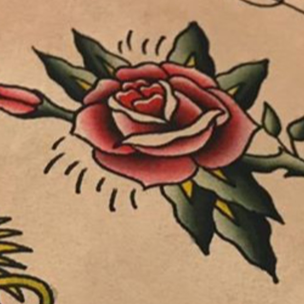 Meet your Posher, Angelica